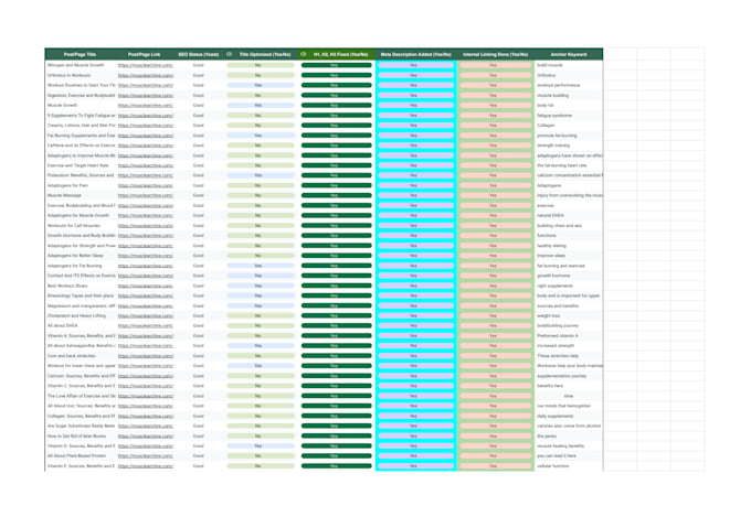 provide on page SEO optimization